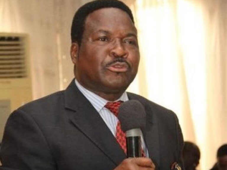 Prof Mike Ozekhome, SAN